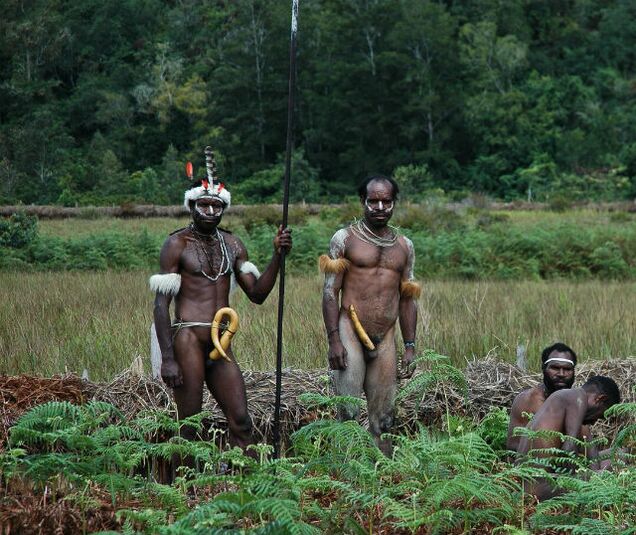 Aboriginal people with enlarged members